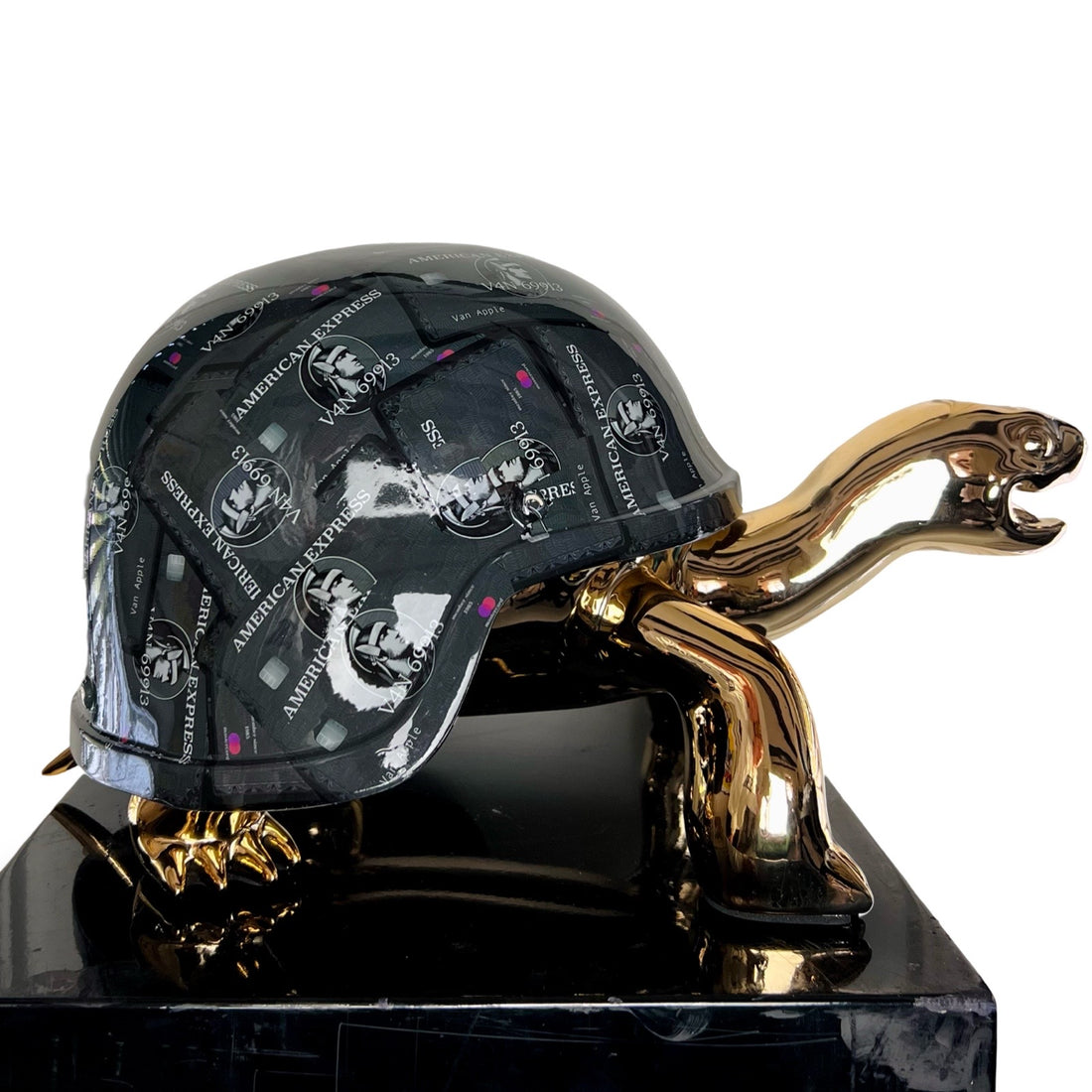 Peace Turtle - Amex Gold