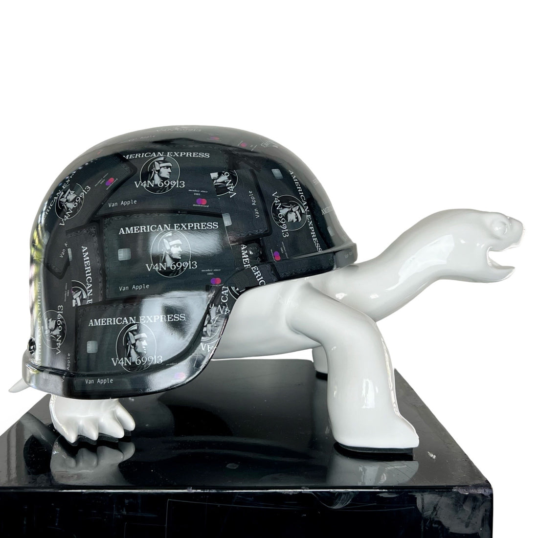 Peace Turtle - Amex White