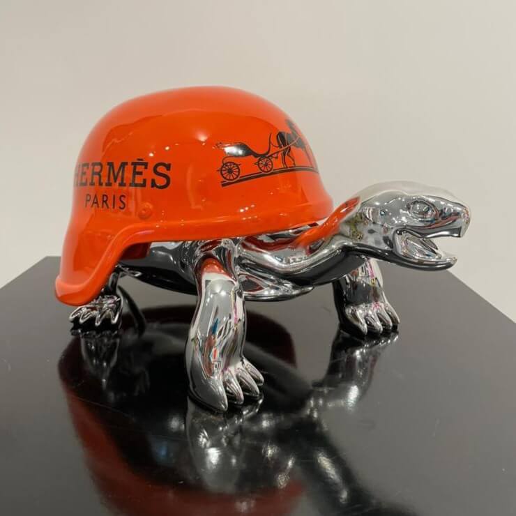Turtle Hermes