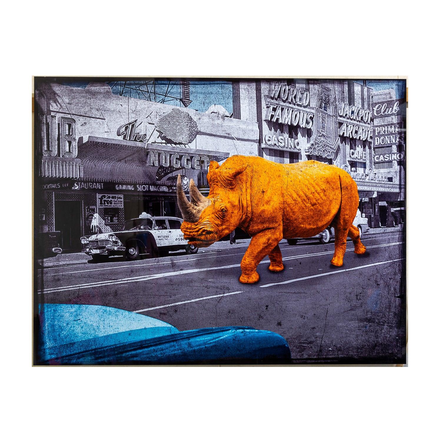 Lars Tunebo - Rhino in Reno - Oranje Neushoorn - Dieren in de stad