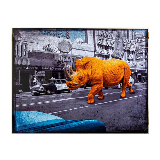Lars Tunebo - Rhino in Reno - Oranje Neushoorn - Dieren in de stad