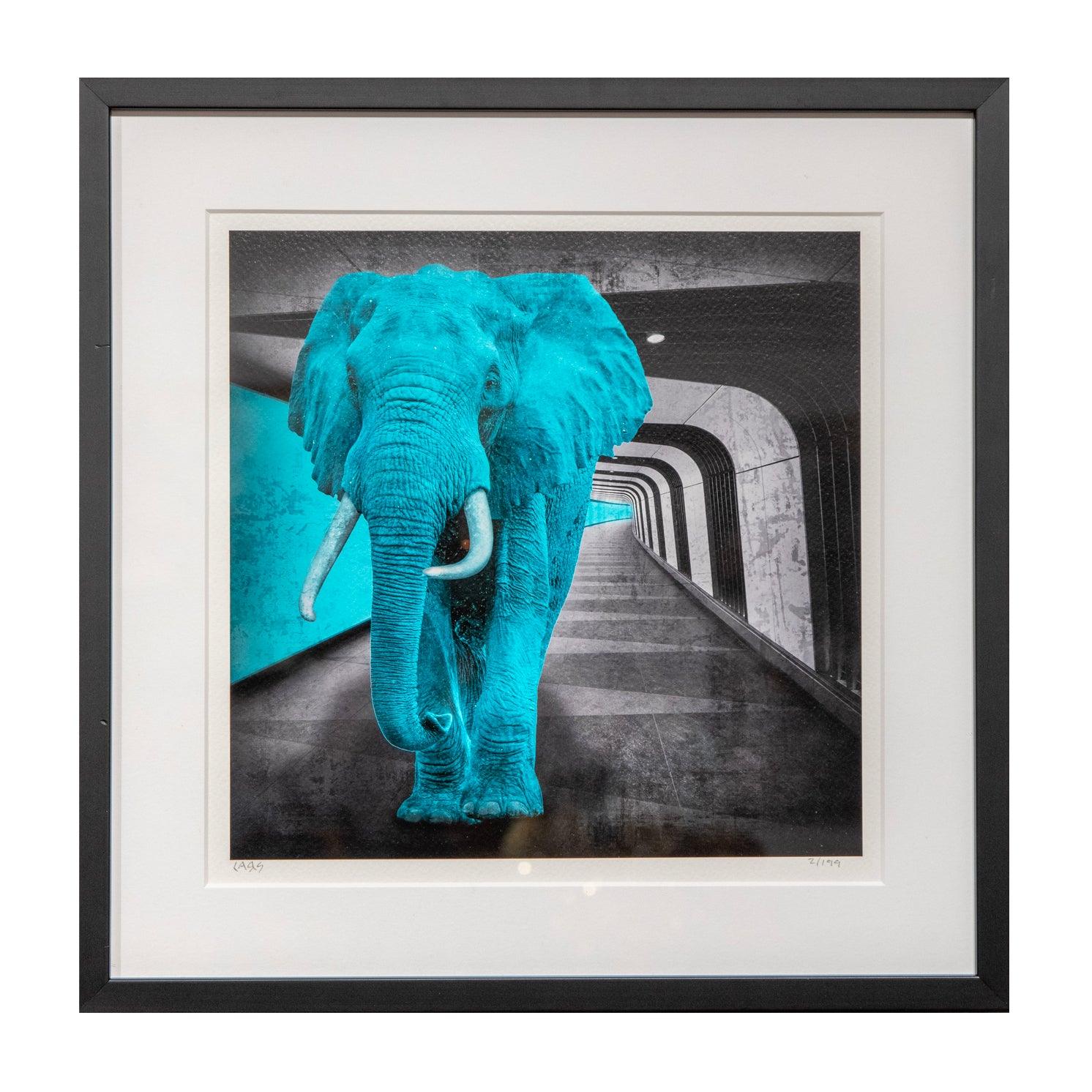 Blauwe Olifant - Lars Tunebo - Dieren fotografie kunst